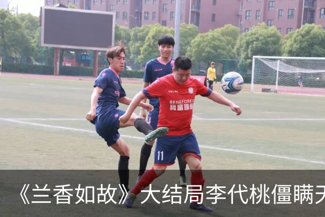 《兰香如故》大结局李代桃僵瞒天过海，废太子顺利登船远走他乡