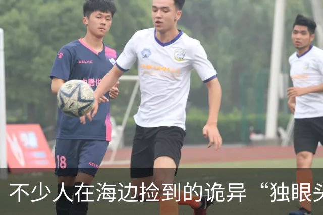 不少人在海边捡到的诡异“独眼头骨”，竟属于“国宝”的亲戚？