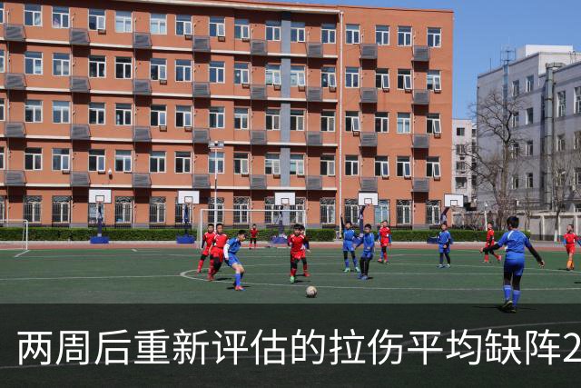 两周后重新评估的拉伤平均缺阵2.3周，约7.9场比赛