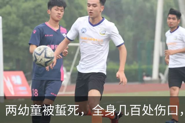 两幼童被蜇死，全身几百处伤口，养蜂人“不认罪、不认错、不道歉”