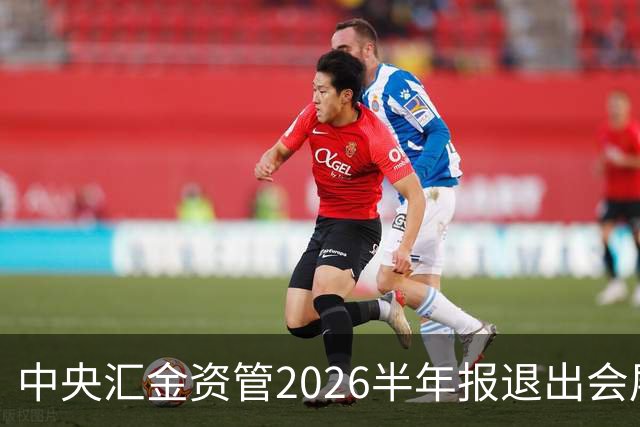 中央汇金资管2026半年报退出会展服务行业兰生股份前十大股东名单
