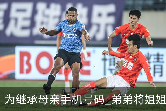 为继承母亲手机号码 弟弟将姐姐诉至法院