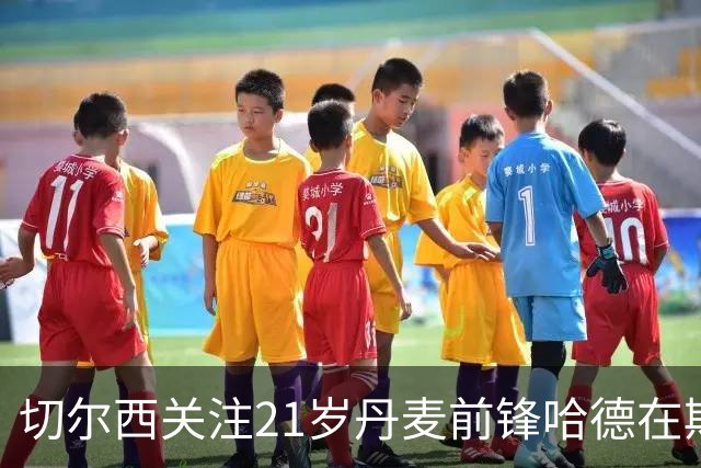 切尔西关注21岁丹麦前锋哈德在斯特拉斯堡的租借表现