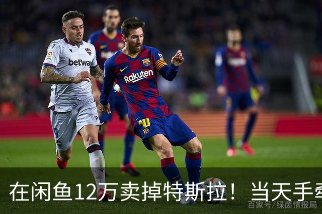 在闲鱼12万卖掉特斯拉！当天手牵手过户，比贱卖给车商爽多了