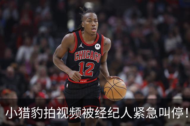 小猎豹拍视频被经纪人紧急叫停！