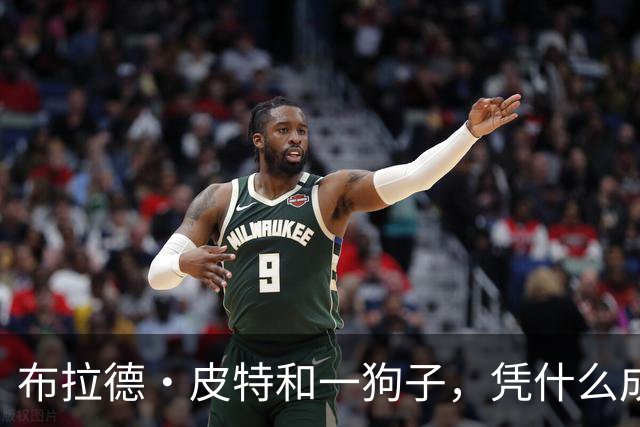 布拉德·皮特和一狗子，凭什么成了国庆档最让人上头的"降级消费"？