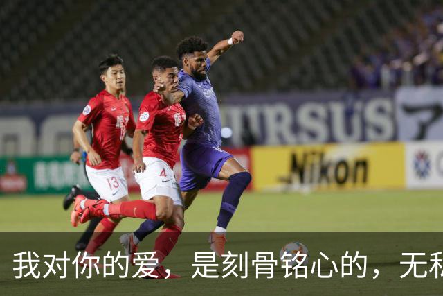 我对你的爱，是刻骨铭心的，无私奉献的