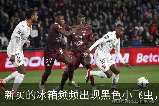 新买的冰箱频频出现黑色小飞虫，市民投诉称“冰箱门太松”要求退货，商家回应：之前换过一次机，卖了50多台只有他们家出现问题