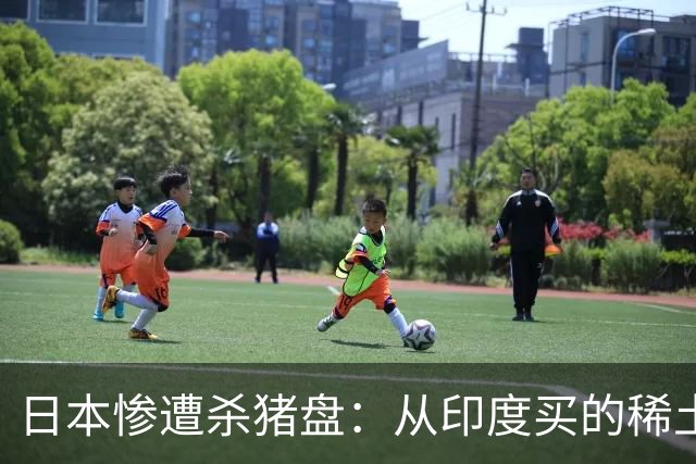 日本惨遭杀猪盘：从印度买的稀土都是中国货，这下血本无归了