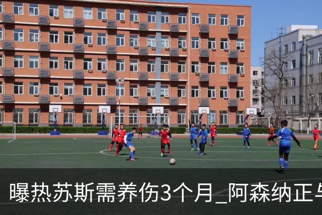 曝热苏斯需养伤3个月 阿森纳正与巴西队交涉