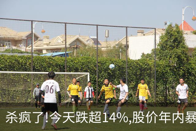 杀疯了!今天跌超14%,股价年内暴跌95.37%,从最高14.24砸到0.66!