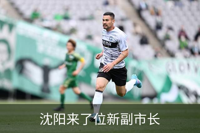 沈阳来了位新副市长