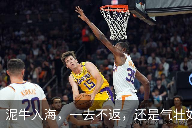 泥牛入海，一去不返，还是气壮如牛，卷土重来？这些新星给出了答案