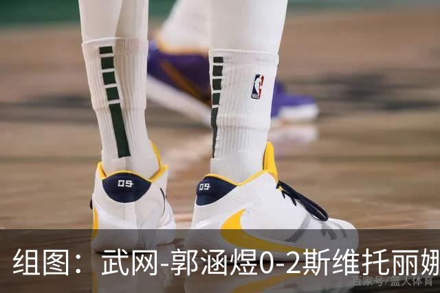 组图：武网-郭涵煜0-2斯维托丽娜无缘八强 赛后握手致意