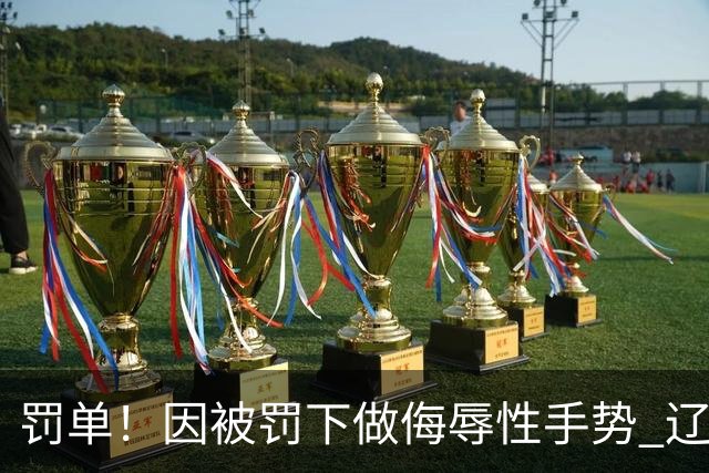 罚单！因被罚下做侮辱性手势 辽宁外援克里斯被罚5万