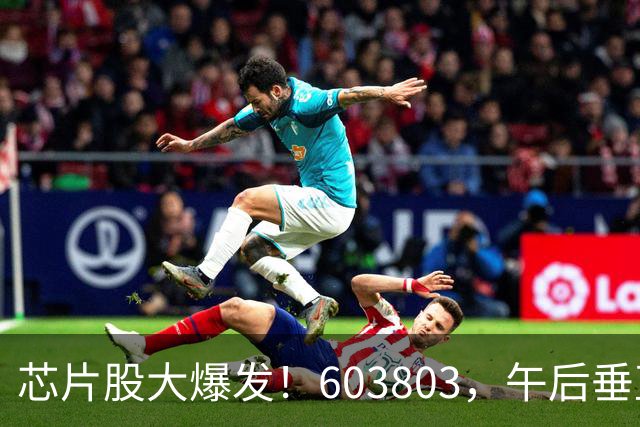 芯片股大爆发！603803，午后垂直涨停！