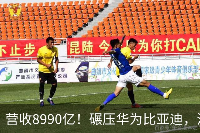 营收8990亿！碾压华为比亚迪，江苏首富夫妻太低调
