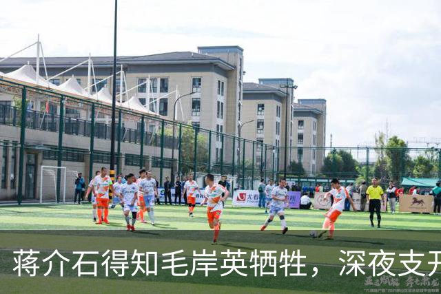 蒋介石得知毛岸英牺牲，深夜支开宋美龄，对蒋经国说出那番话