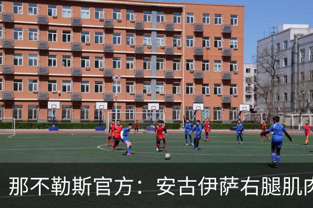 那不勒斯官方：安古伊萨右腿肌肉受伤，已开启康复计划