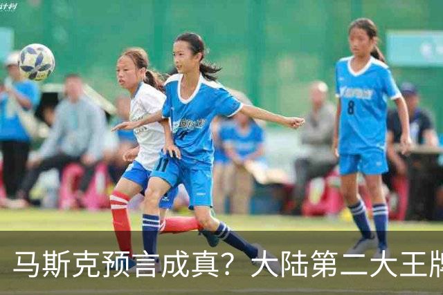 马斯克预言成真？大陆第二大王牌曝光，美媒：比“稀土”更可怕