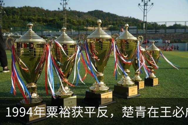 1994年粟裕获平反，楚青在王必成遗像前诉说：你终于可以安息了