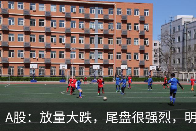 A股：放量大跌，尾盘很强烈，明天周五，或将迎来暴风雨？
