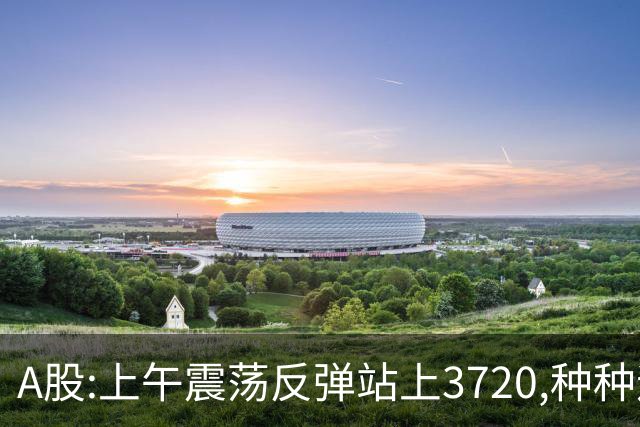 A股:上午震荡反弹站上3720,种种迹象表明,A股调整结束了吗?