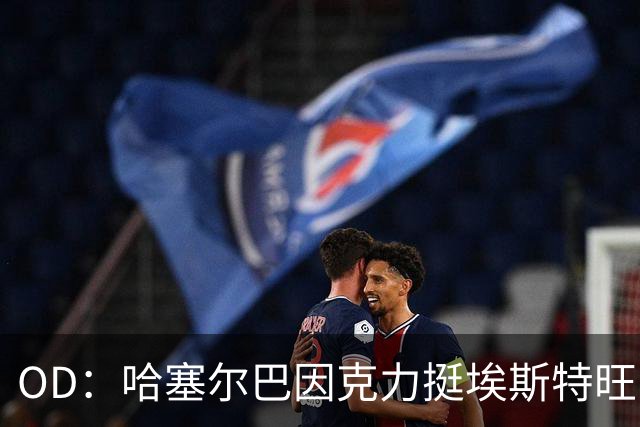 OD：哈塞尔巴因克力挺埃斯特旺